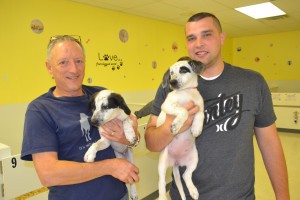 Cherry Hill pet shop reopens as adoption center for rescue dogs