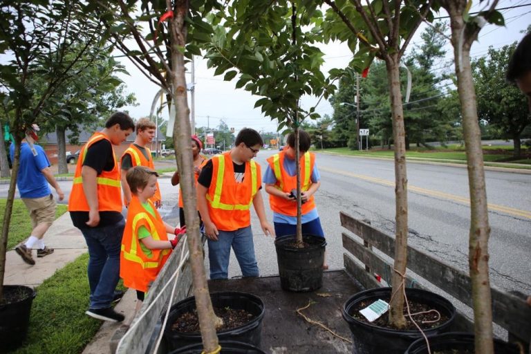 Local Boy Scout helps continue tradition of planting cherry trees