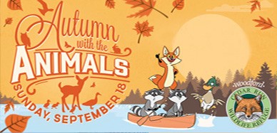 Autumn with the Animals