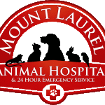 Mt. Laurel Animal Hospital hosting Red Cross Human and Canine Blood Drive on Saturday