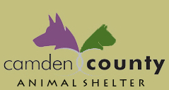 Camden County Animal Shelter clinic offers ‘Pet Dental Day’