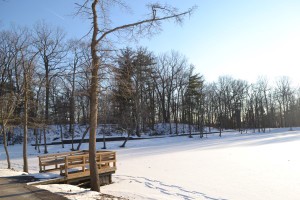 EPA scheduled to decide cleanup method for Kirkwood Lake in 2018