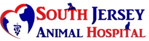 South Jersey Animal Hospital Hosts Low-Cost Vaccination Clinic