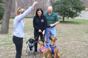 Help for Homeless Pets: Foster families key to rescue groups