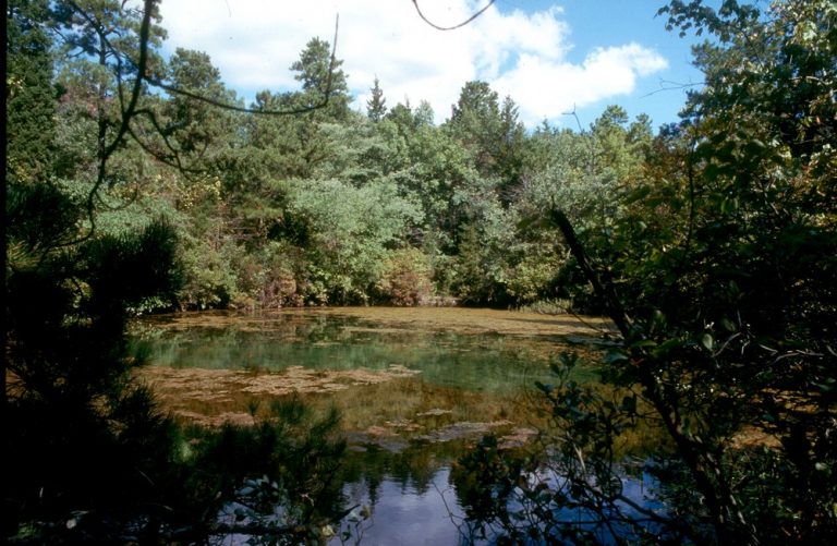 Mysterious Blue Hole a hub for natural, cultural history