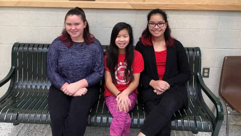 Middle School trio earns spots on All-South Jersey Orchestra Strings Ensemble