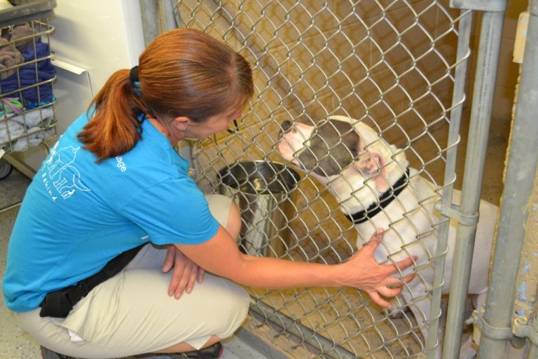 21st Woofstock festival is set for Sept. 23 at John Connolly Park