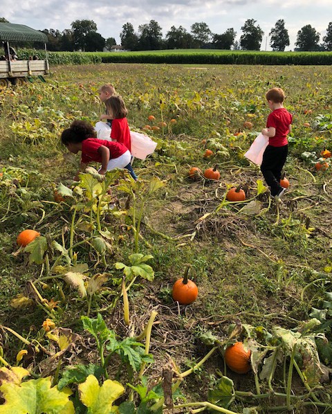 Grenloch Terrace Early Childhood Center kindergarteners enjoy annual field trip to Duffield’s Farm