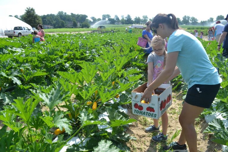 Third graders harvest more than 1,500 pounds of squash, donate to local families in need