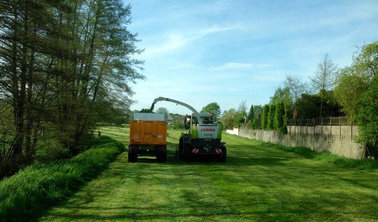 Green Vegetative Waste Cart Pick Up Begins