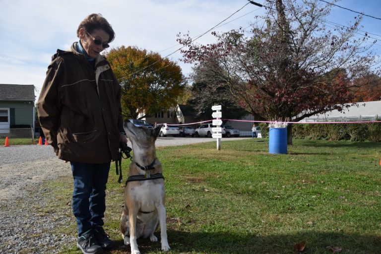 Super sniffers: Dogs rewarded for scent work