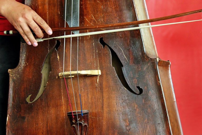 Lenape Regional High School District Orchestra Concert set for Feb. 7 at Cherokee High School