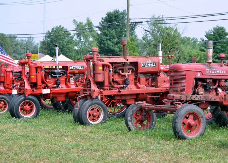 Burlington County Farm Fair Association prohibiting display of Confederate flag at future fairs