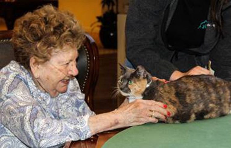 Spring Hills residents celebrate National Senior Pet Month