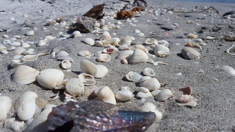 Haddonfield Historical Society to engage in discussion of Delaware’s oyster industry