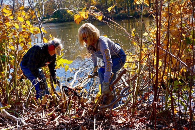 “Adopt A Lake Front” Initiative