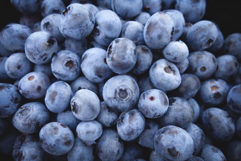 Breakfast Rotary’s Blueberry Fundraiser set for June 22 at Osage