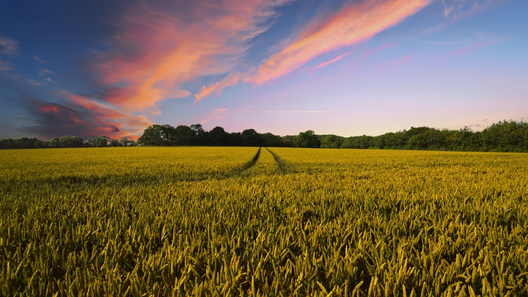 Burlington County Farmland Preservation Program reaches two milestones