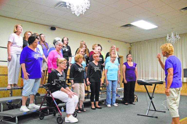 Pitch perfect: Shades of Harmony prepares for holidays