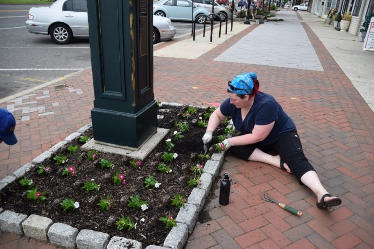 Palmyra Improvement Association to cultivate ideas on farmer’s market