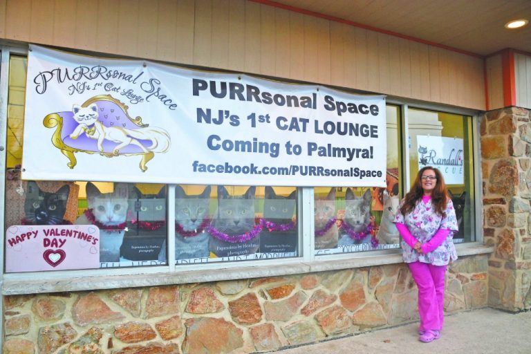 “Paw-some” new cat lounge to open in Palmyra this spring