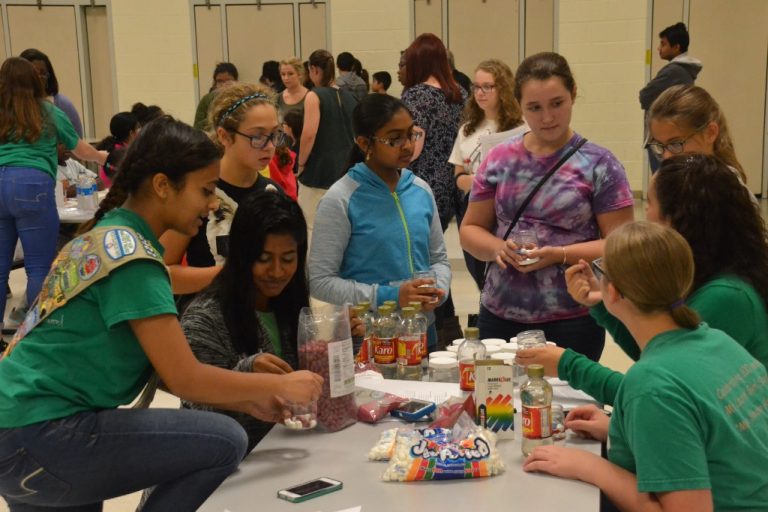 Mt. Laurel teen organizes STEM career night for young girls as part of Girl Scout Project