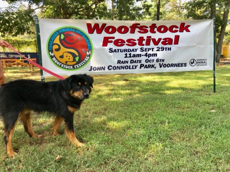 22nd Woofstock Festival coming to John Connolly Park on Sept. 29