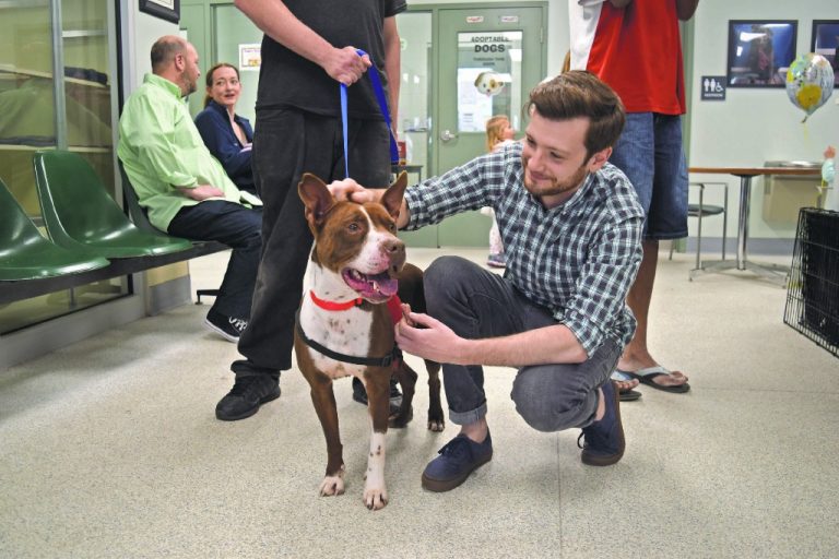 Camden County Animal Shelter creates new initiative