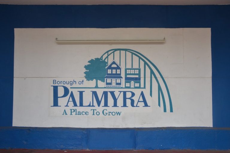 Palmyra Borough Council moves to ban sale of dogs and cats from mills