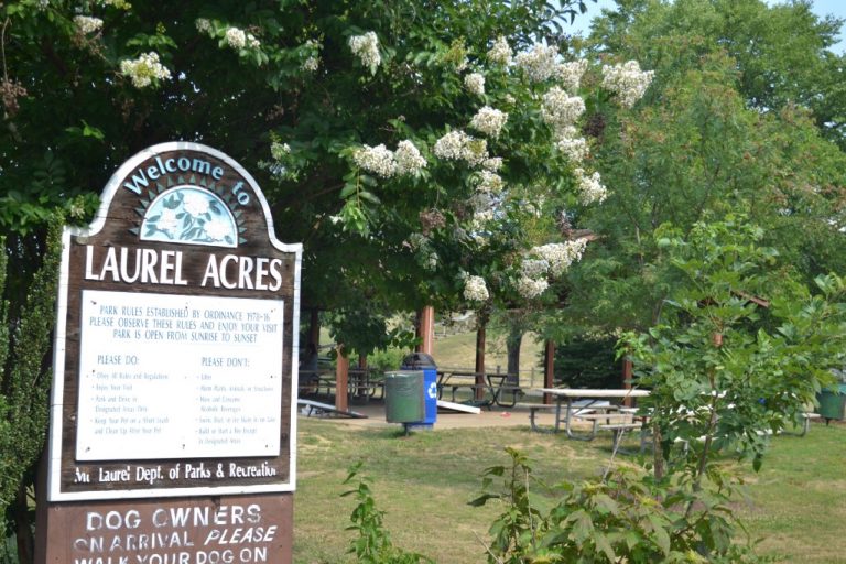 Mt. Laurel Township to acquire 20 acres of open space land to expand Laurel Acres Park