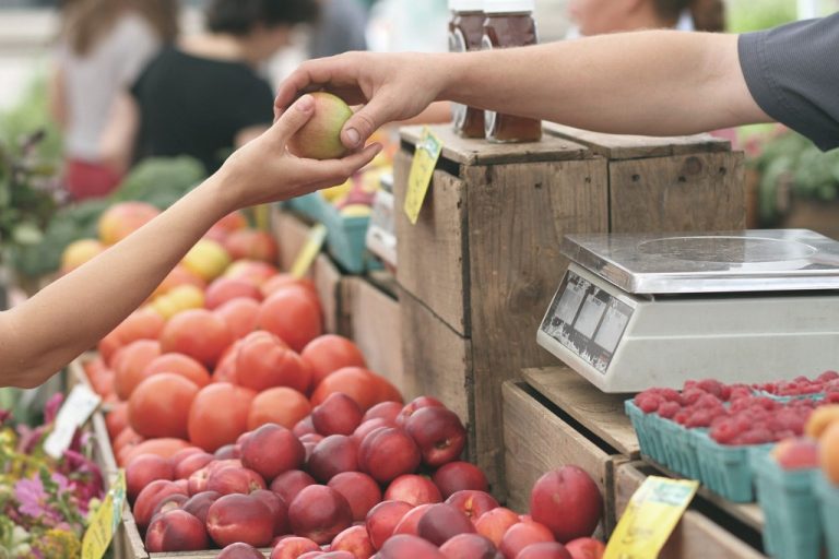 Burlington County Farmers Market to open for the season