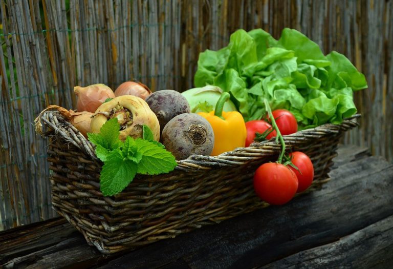 Backyard famers and gardeners invited to donate surplus produce to Wiley Food Pantry