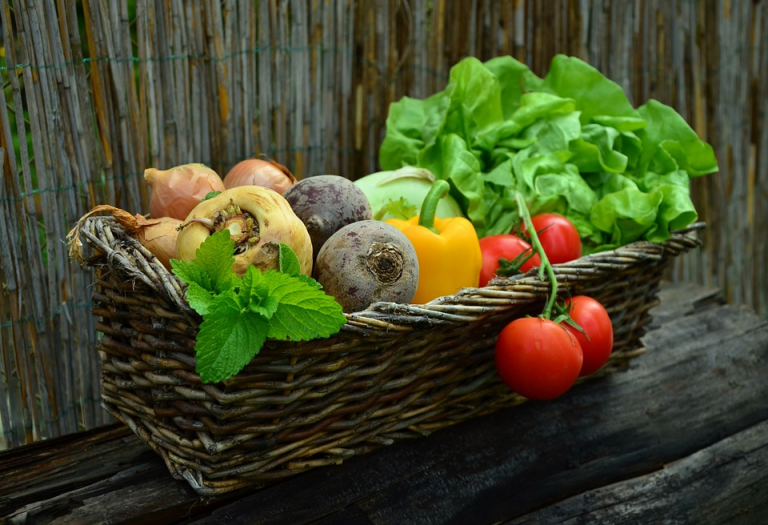 Burlington County Fall Farmers Market set for Nov. 18