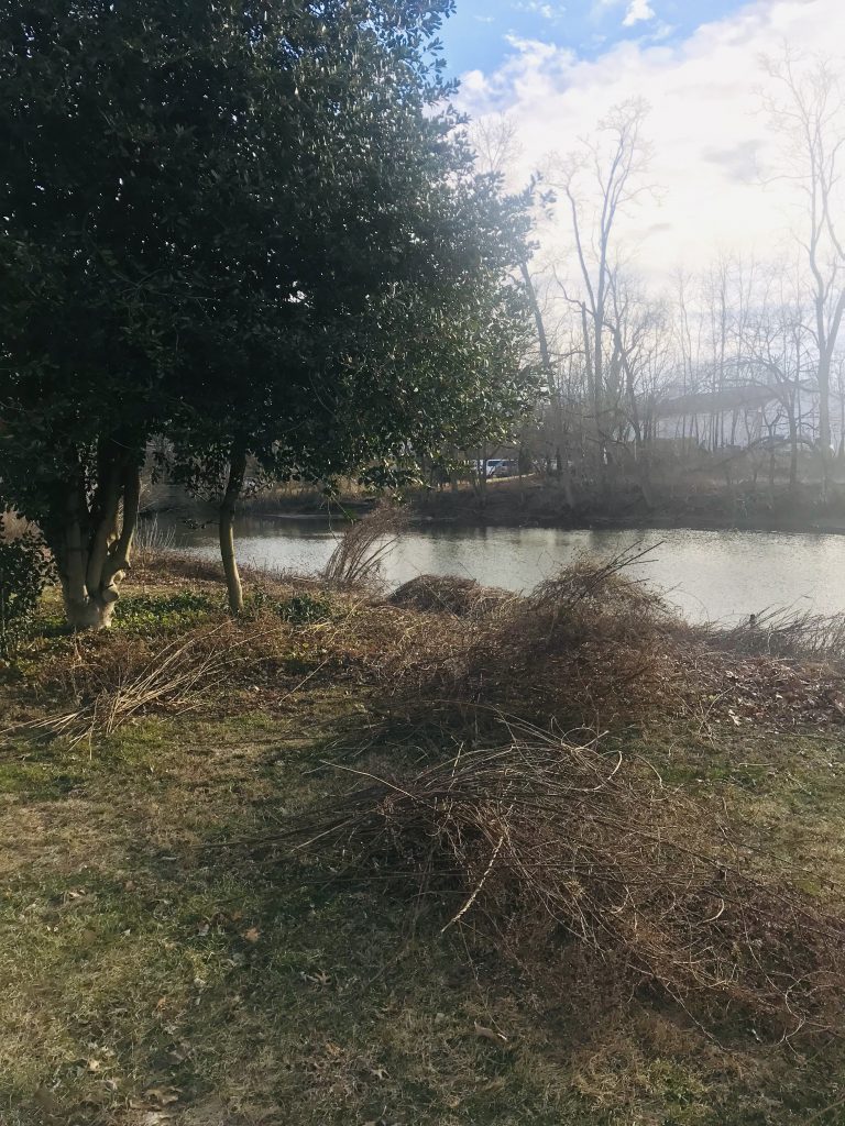 The Strawbridge Lake Beautification Committee continues to rebuild the lake through local fundraiser