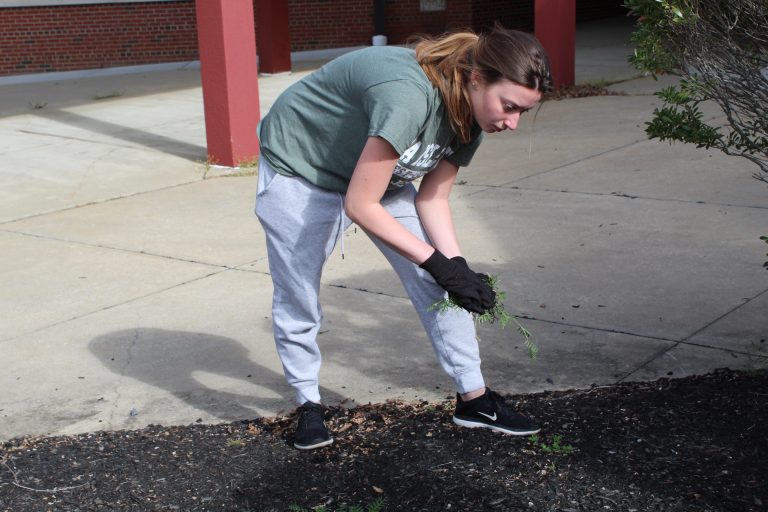 Photos: CRHS students clean up HTES