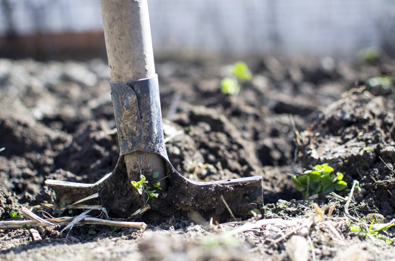 Palmyra Improvement Association Downtown Cleanup