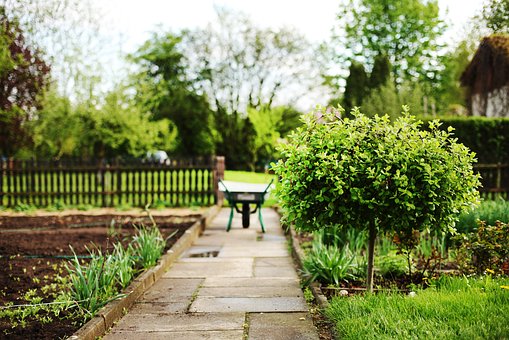 County hosting free gardening webinar series