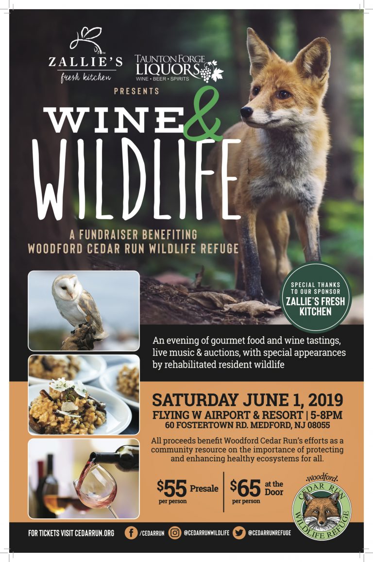 Woodford Cedar Run wildlife refuge hosts annual fundraiser benefit on June 1