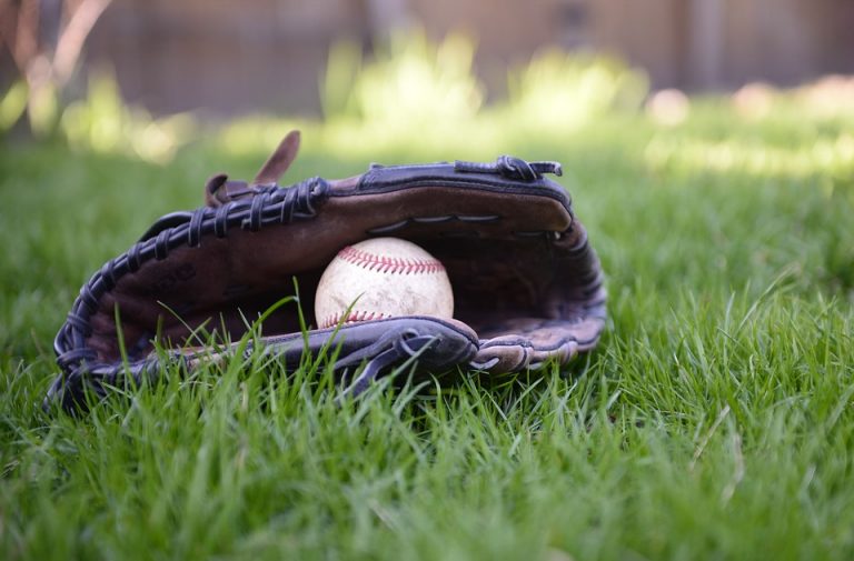 Neighbors call for preservation of Memorial Field