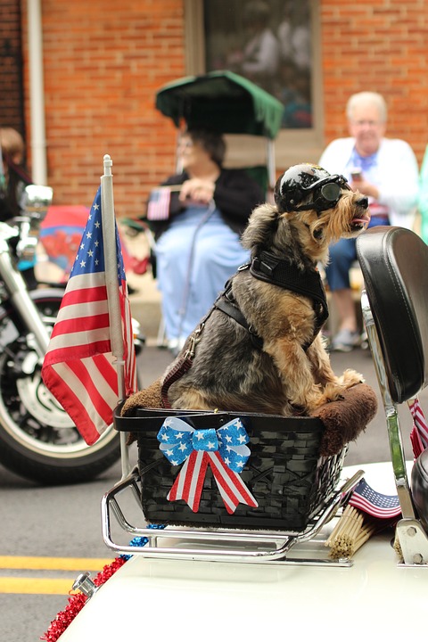 Fourth of July parade set for pooch pageantry