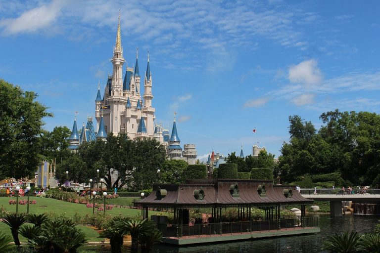 Nonprofit aims to send sick kids to Disney