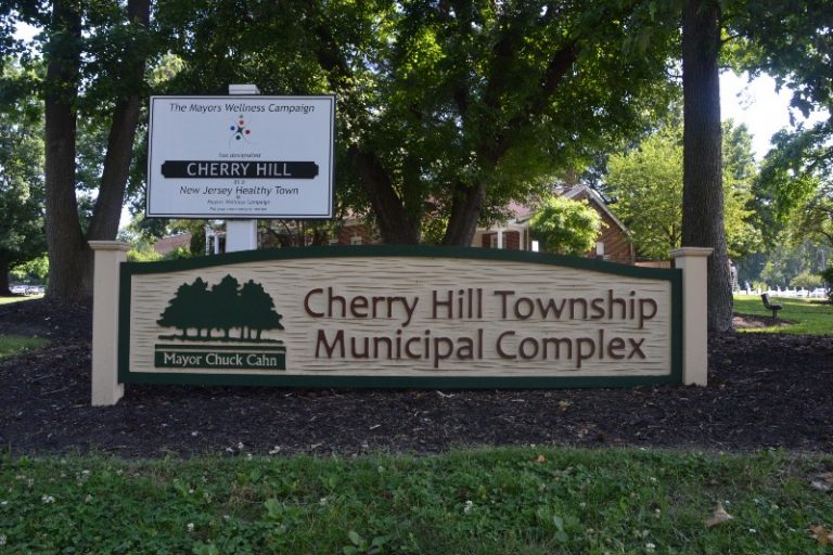 Ordinance regarding Park Blvd. project approved upon first reading by township council