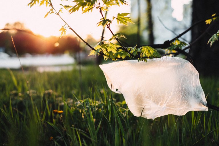 Influx of plastic bags in recycling carts causing financial pains