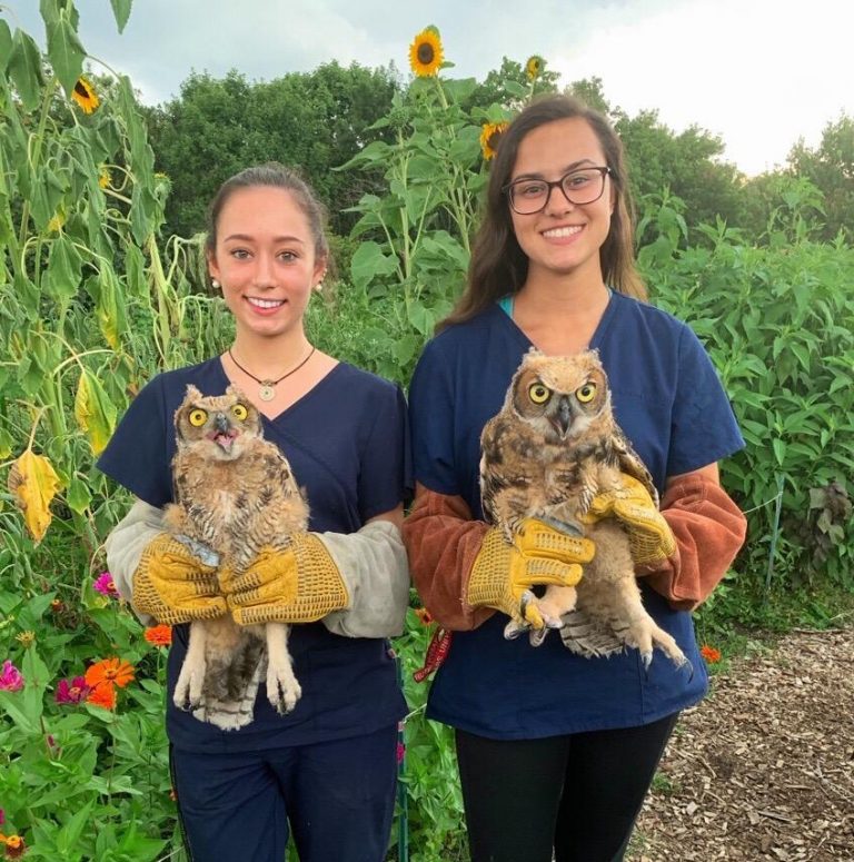 Pair of Haddonfield natives involved with wildlife conservation