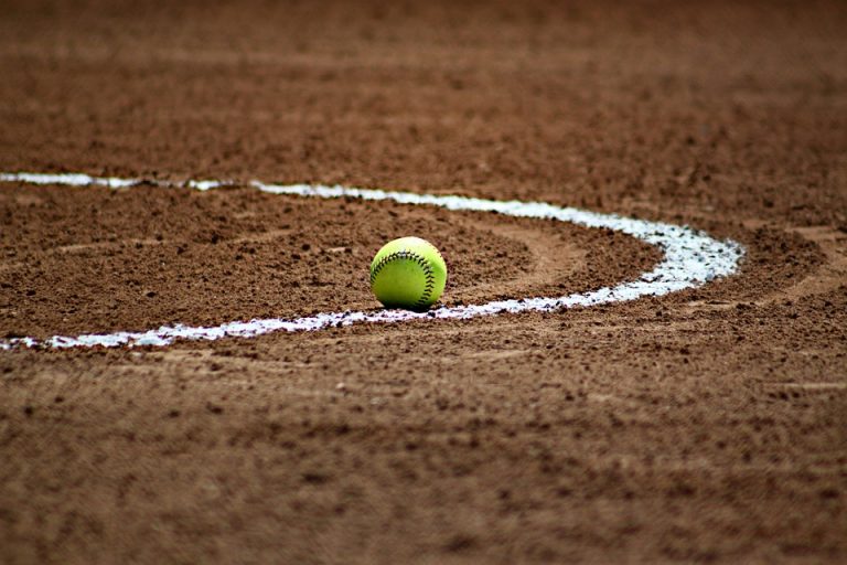 Township seeking county funds to help restore local softball fields