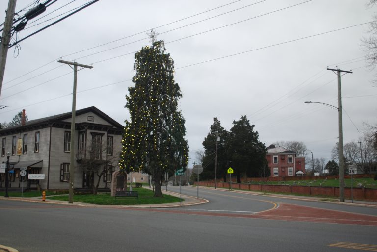 Christmas tree lighting, mayor’s newsletters a sign of unity during pandemic