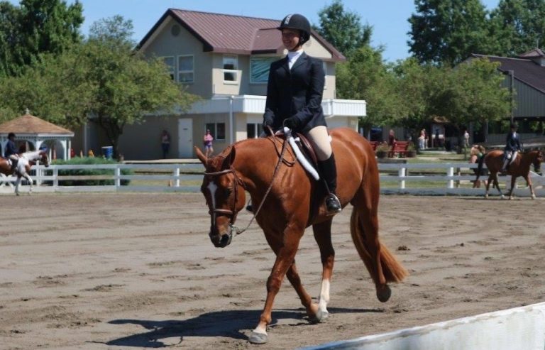 PVI senior Grayson Link named NJ Equestrian of Year