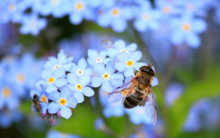 Dispatches from Home: Taking advantage of spring, your environment