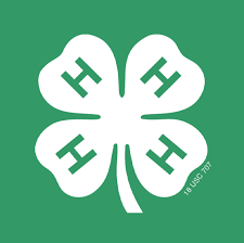 Global Teens 4-H Club announces meeting next week