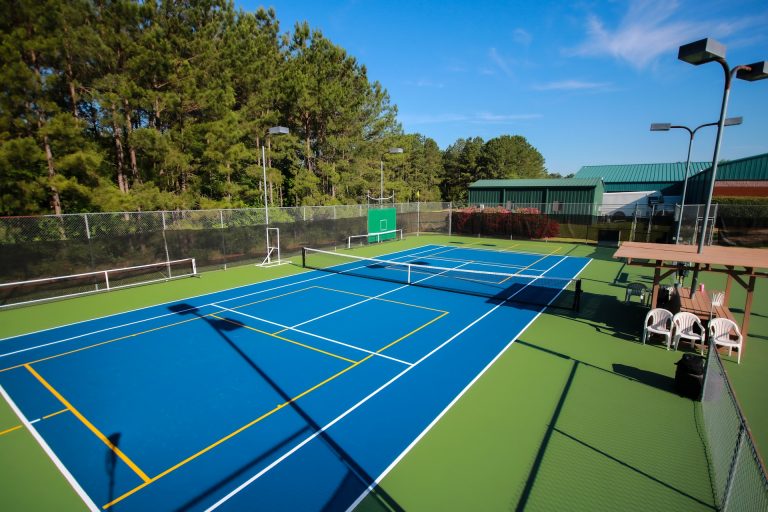 Open Pickleball at Ella Harris Park